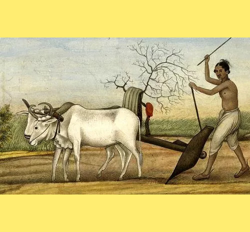 Age old agricultre