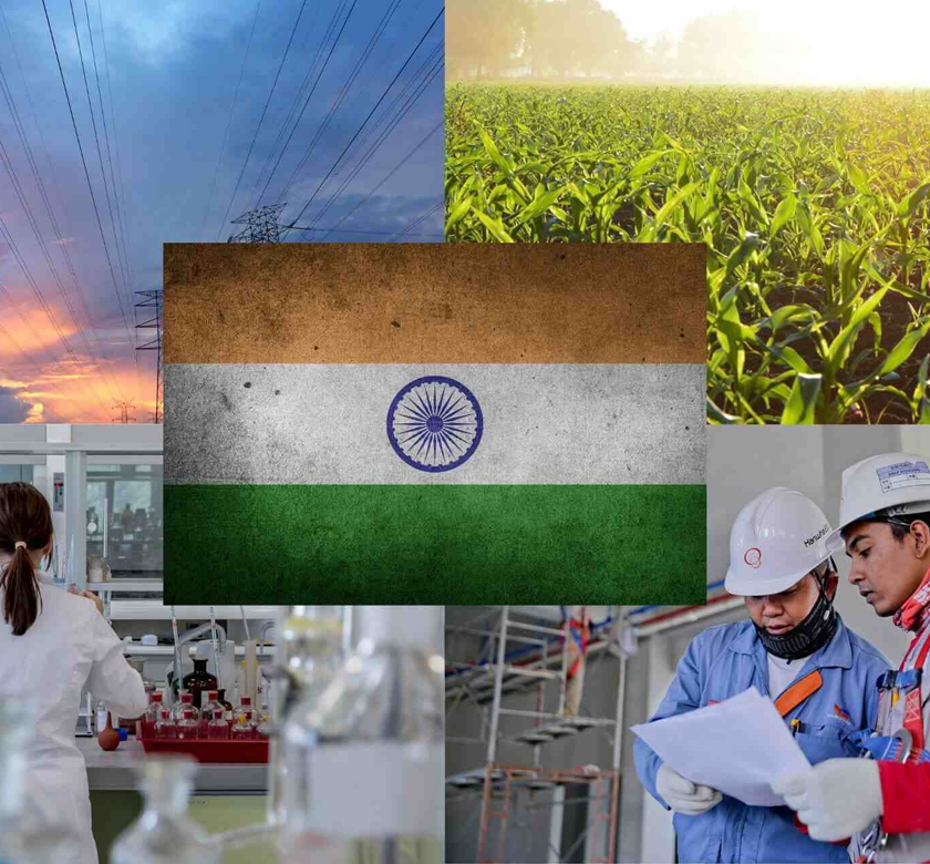 swadeshi