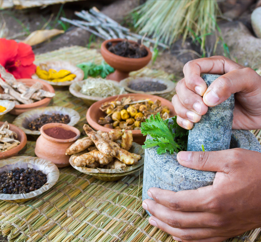 traditional medicine