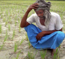 Farmer plight