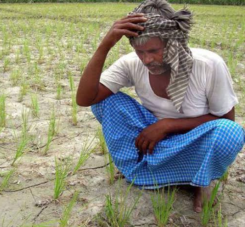Farmer plight