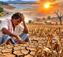 Crop Holiday