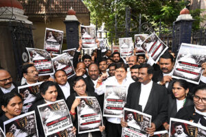 Lawyers Andolana